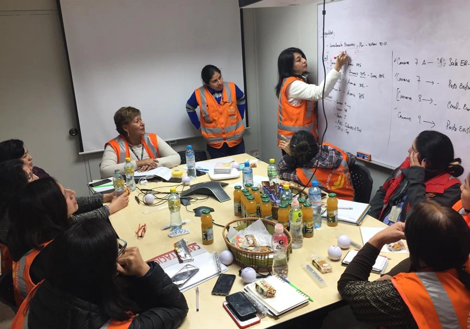 Programas Luisa Hurtado